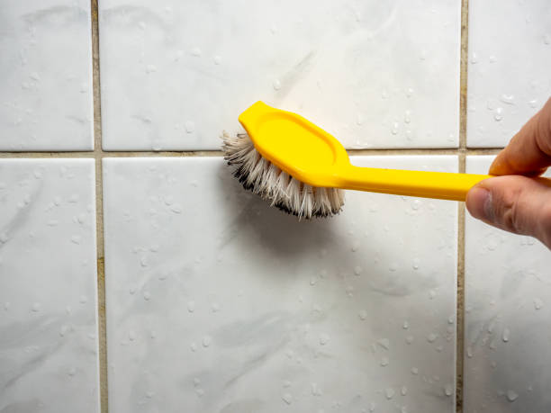 Best Affordable Mold Removal  in Lindsay, OK