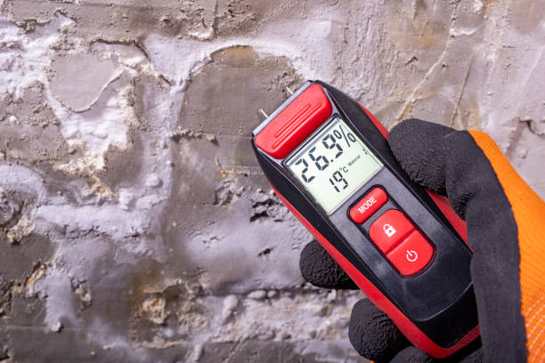 Best Mold Removal Company Near Me  in Lindsay, OK